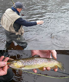 Maine Winter Trout Fishing: Global Warming, Maybe? Good Fishing