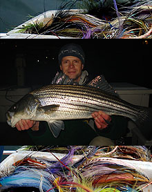 Winter Fly Fishing: Striped Bass, Why Wait For Spring? - Flies and Fins